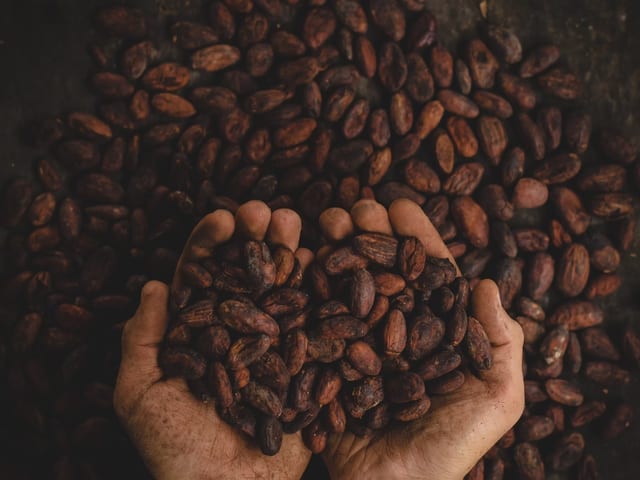 Best Coffees in the World?