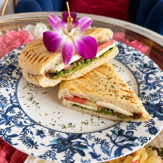 Modern Panini
